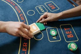 8win bet