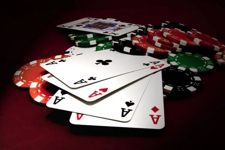 8win bet